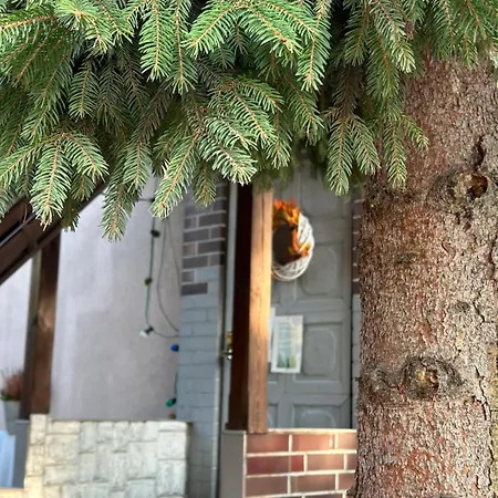 Szumi Bed & Breakfast Jozefow (Masovia)