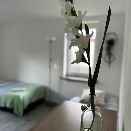 Bed & Breakfast Szumi Jozefow (Masovia)