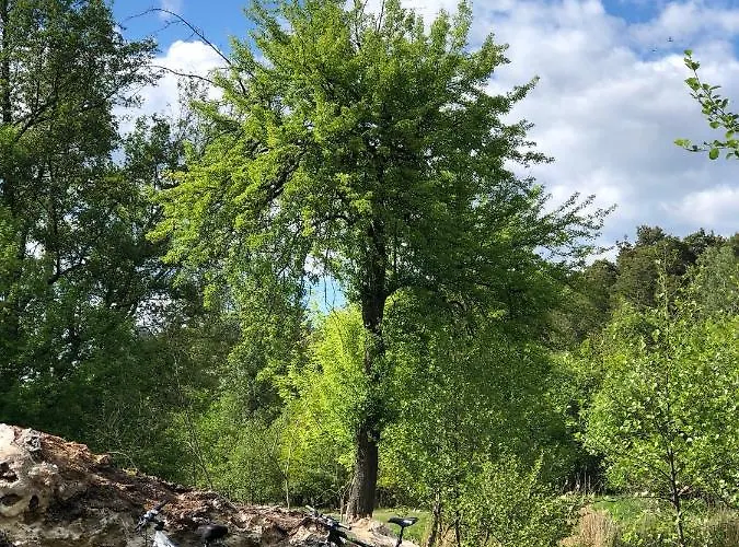 Bed & Breakfast Szumi Jozefow (Masovia)