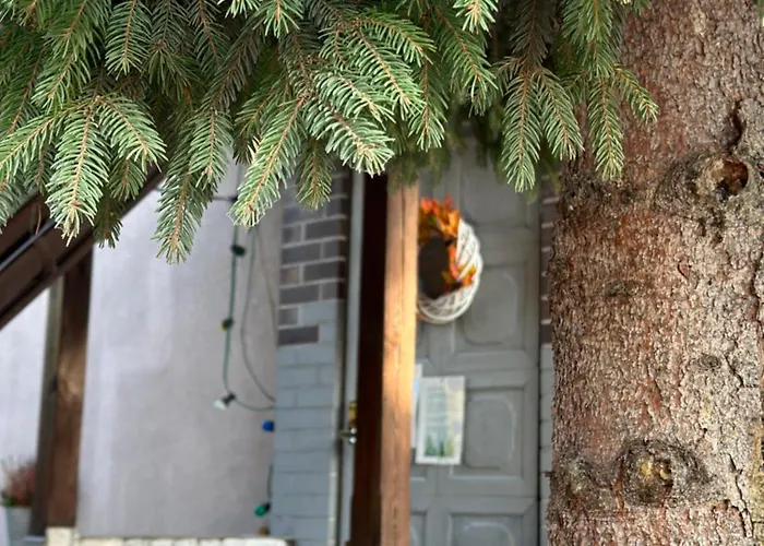 Szumi Bed & Breakfast Jozefow (Masovia)